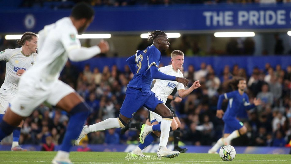 与近年来W 与近年来W